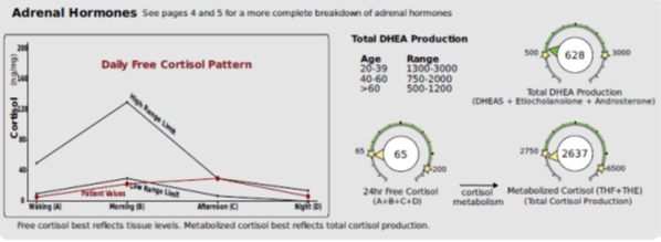 DUTCH test adrenal hormones