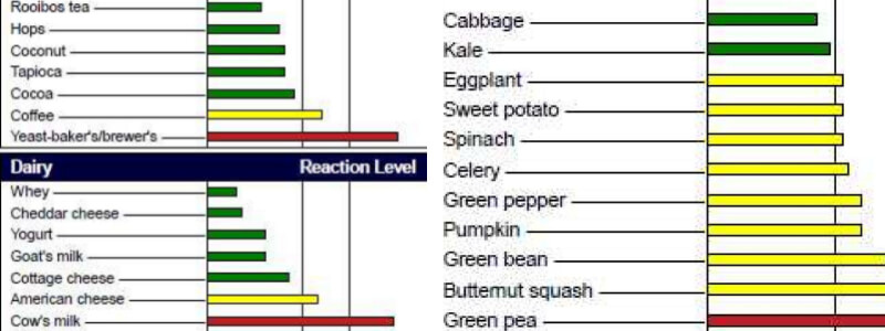 MRT food sensitivity test