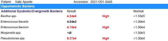 GI map test results opportunistic bacteria